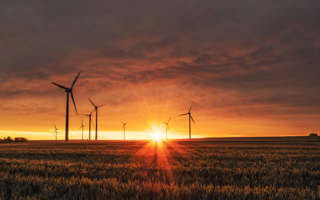 Harnessing the Sun: The Power of Solar Energy