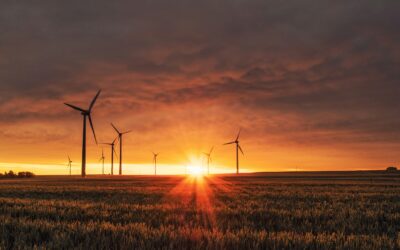 Harnessing the Sun: The Power of Solar Energy